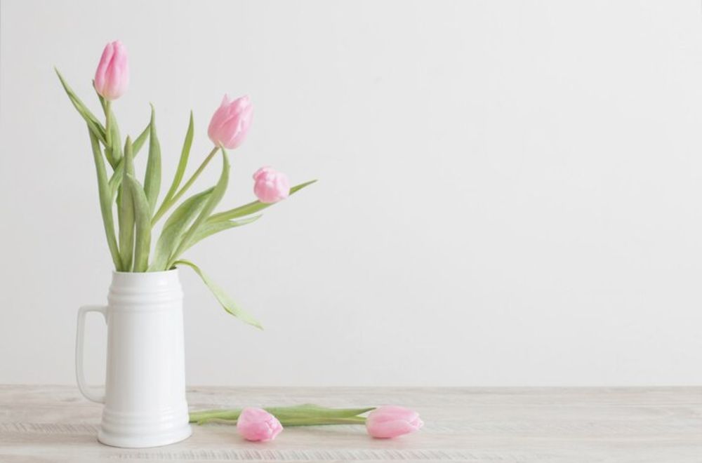 Tulips Most Toxic Plants for Cats [A Veterinarians Guide]